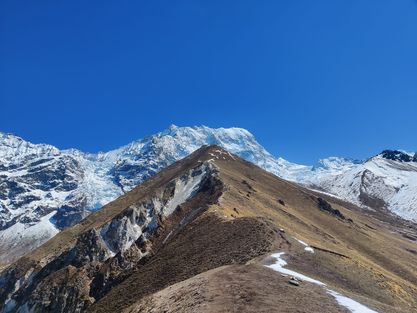 Image for Langtang Valley Trek